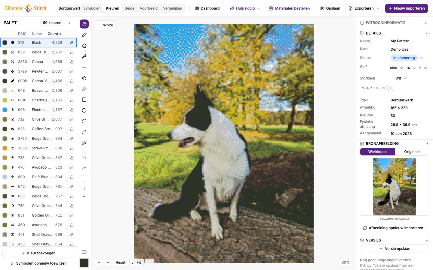Editorweergave met patrooncanvas, paletpaneel en werkbalk